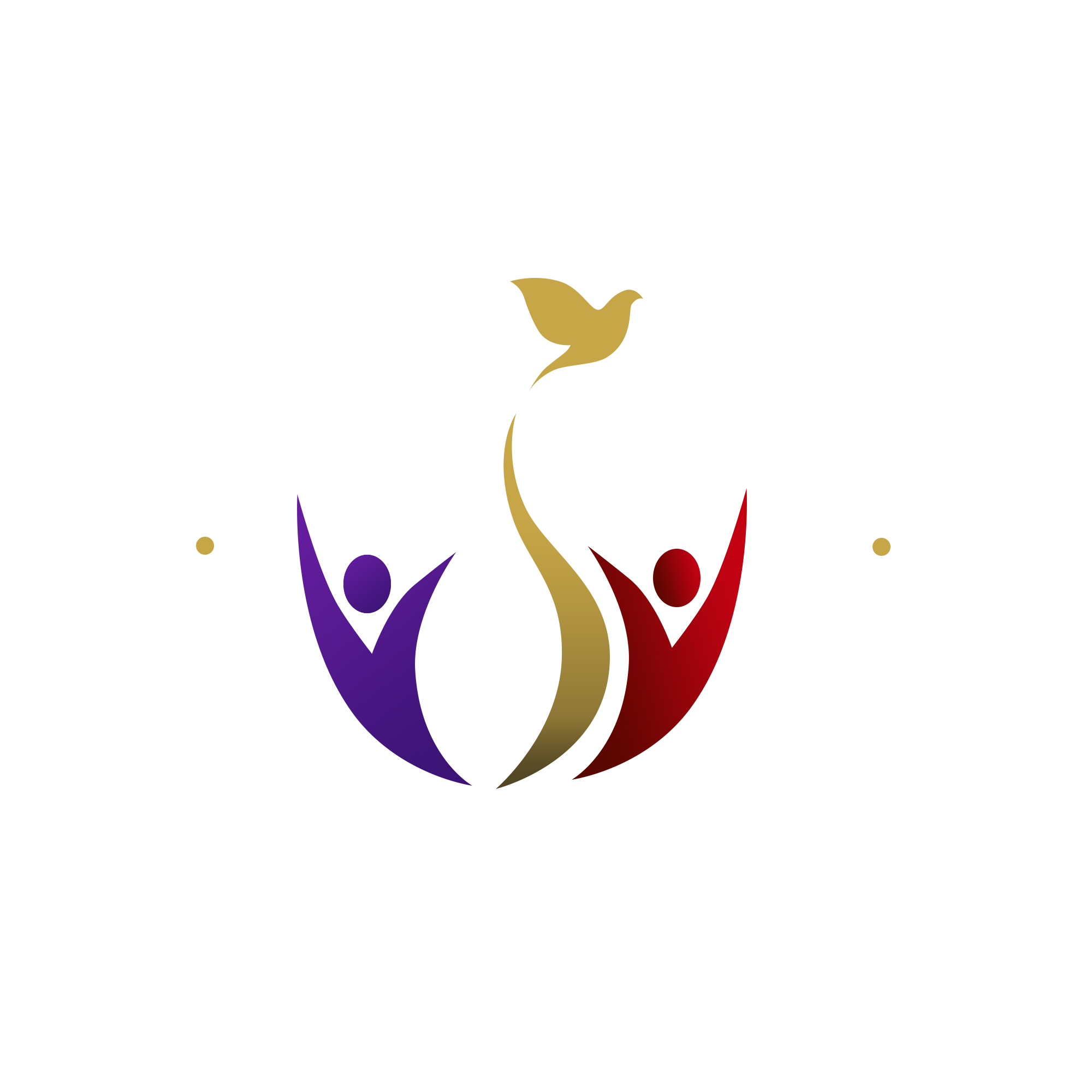 Igreja Embaixada Apostólica e Profética